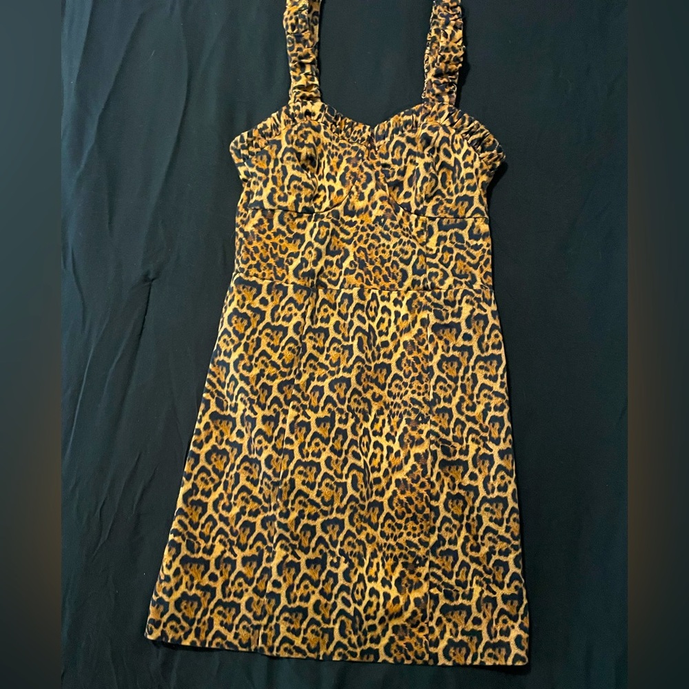 Zara Leopard Dress
